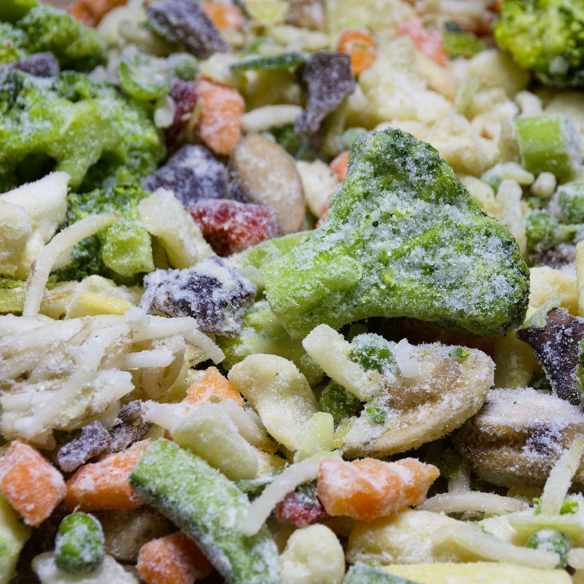 Frozen Food Business Names