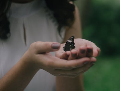 A woman gently holding a fragile butterfly.