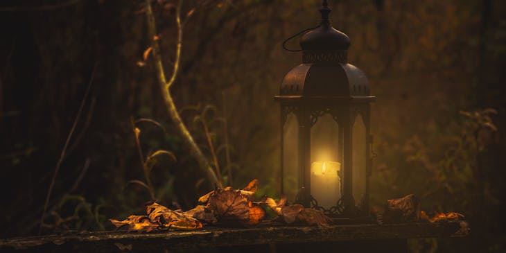 Lantern on a stone bench in the forest.