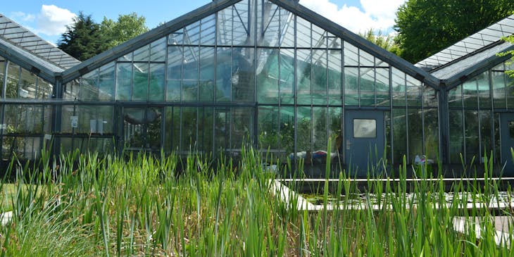 A greenhouse business soaking up sunrays.