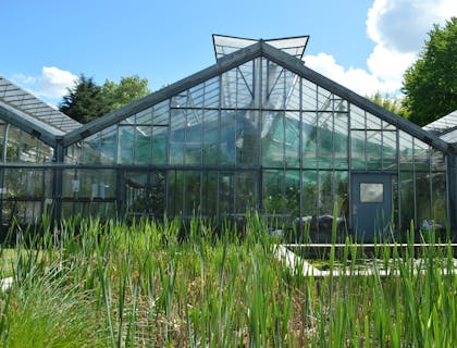 A greenhouse business soaking up sunrays.