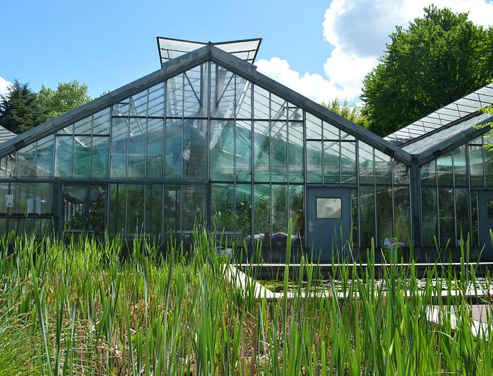 Greenhouse Business Names