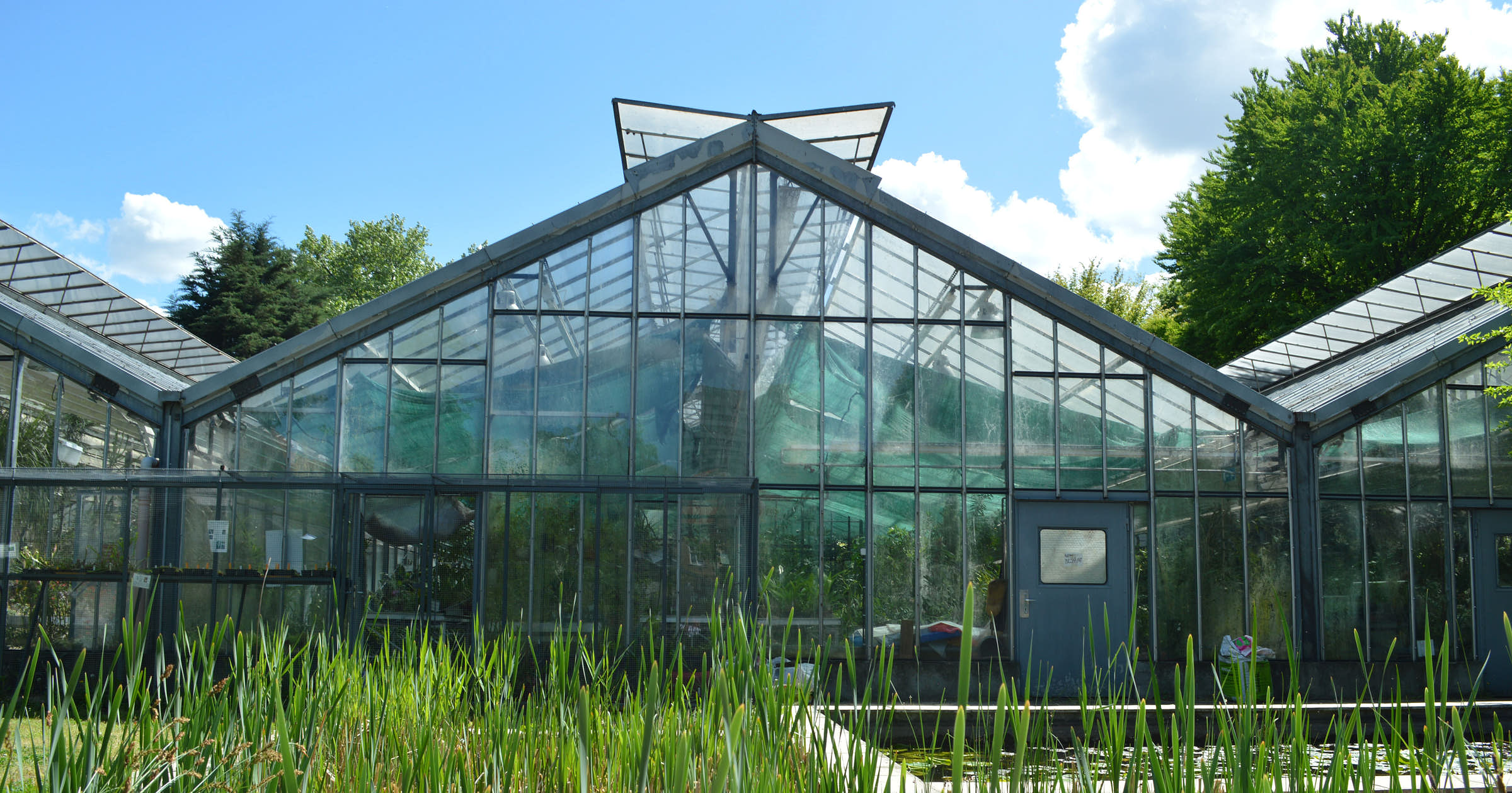 Greenhouse Business Names + Free Logos