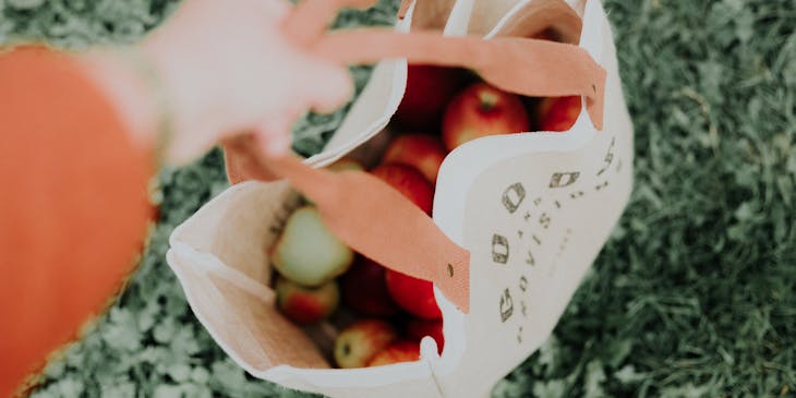 Person holding a grocery bag filled with apples.