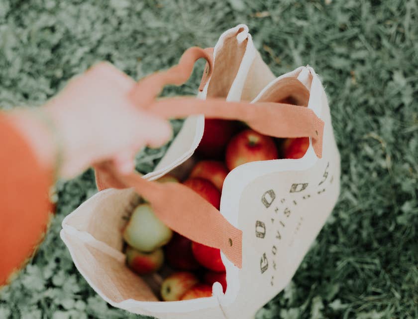 Person holding a grocery bag filled with apples.