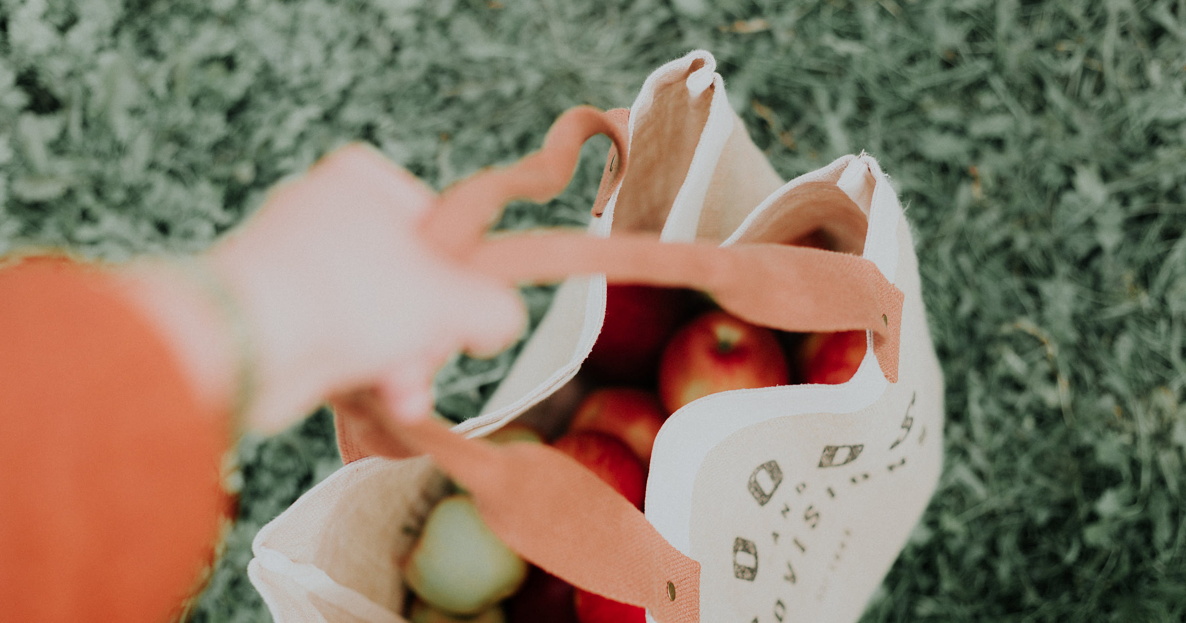 Grocery Delivery Business Names