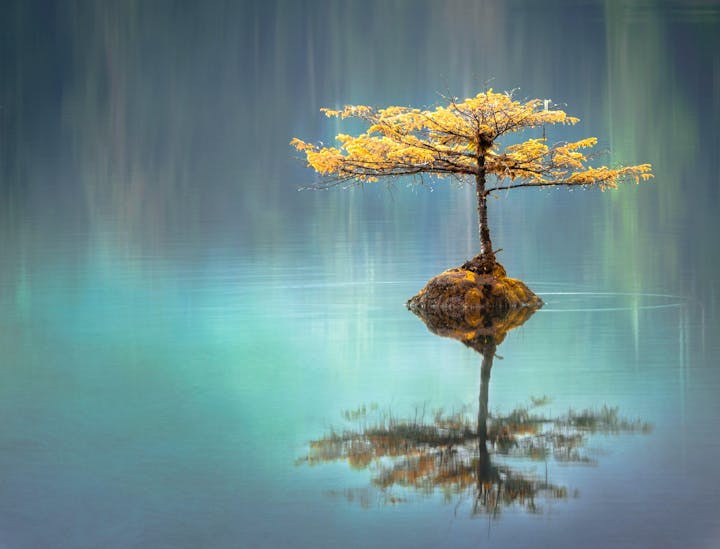 Harmonious Business Names