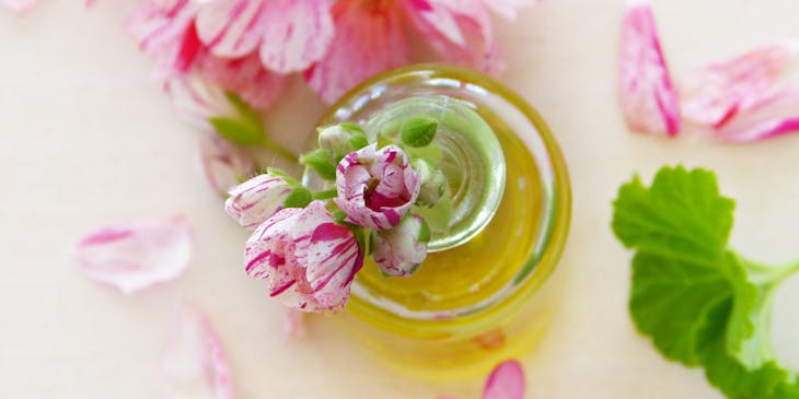 Healthy, beautiful pink flowers in oil on a white background.