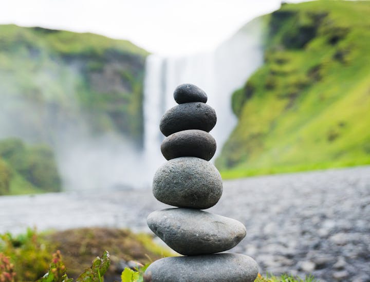 Health and Wellness Business Names