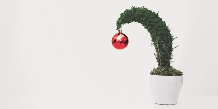A sad tree in need of a holiday decorating service.