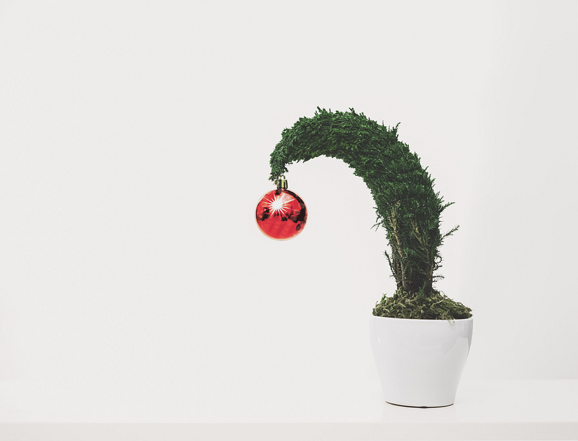 A sad tree in need of a holiday decorating service.