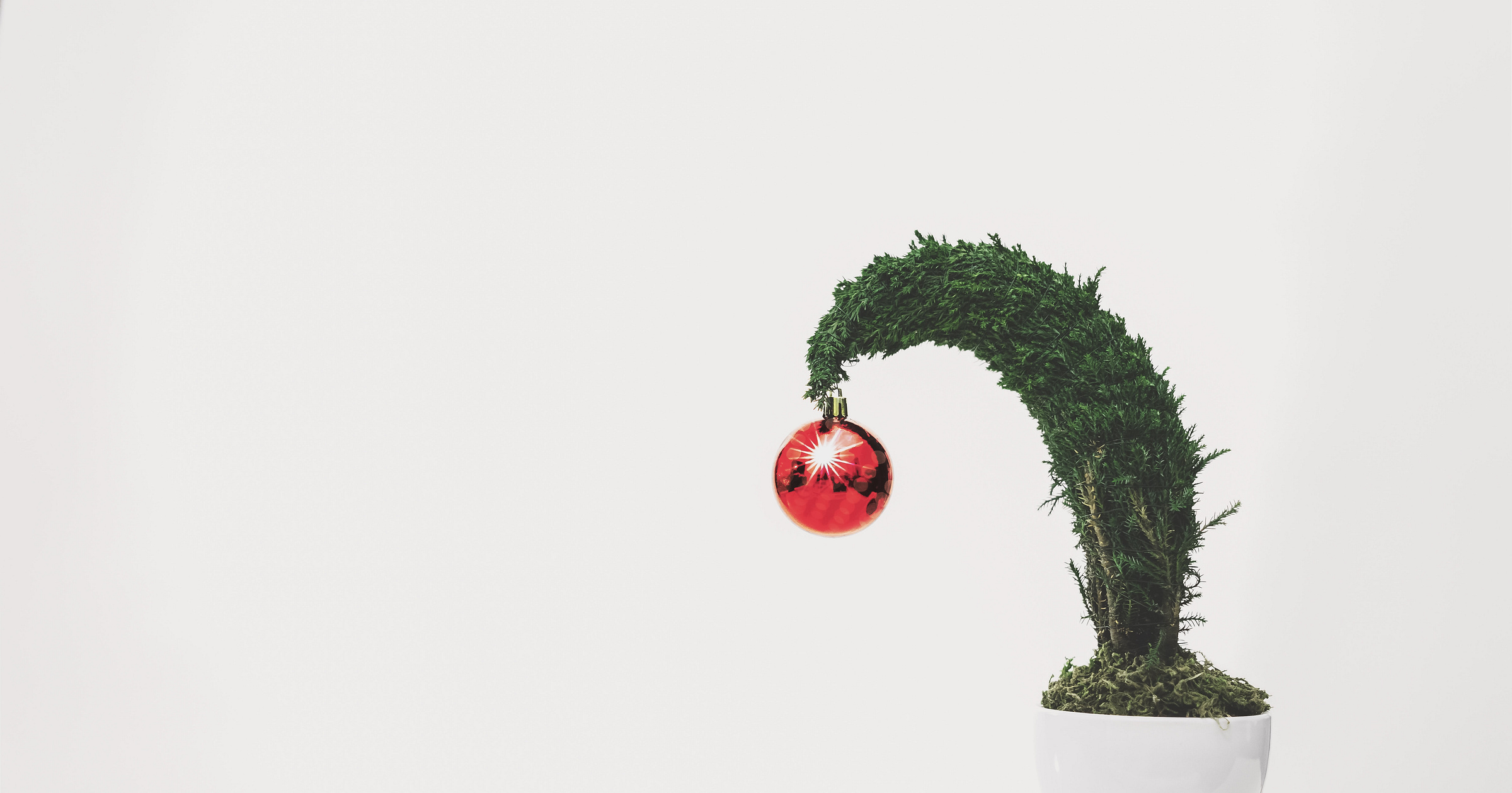 Holiday Decorating Service Business Names