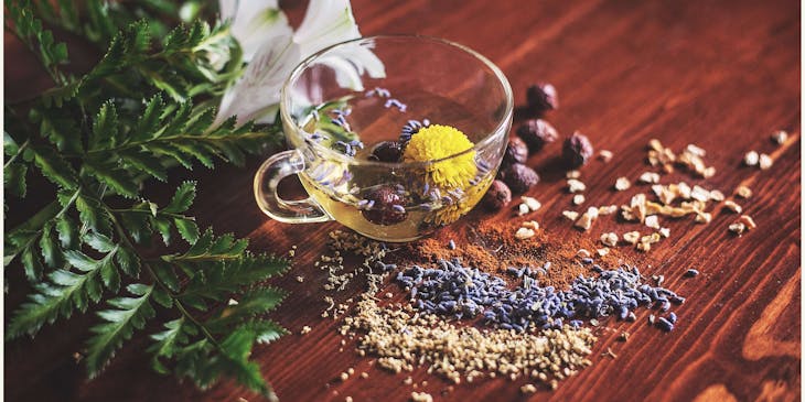 A cup of clear flower tea surrounded by herbs used for holistic healing.