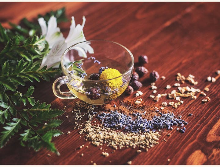 Holistic Healing Business Names
