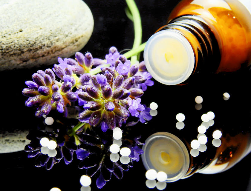 Affichage d'extraits et de remèdes à base de plantes dans des récipients en verre sur une table dans un cabinet d'homéopathie.