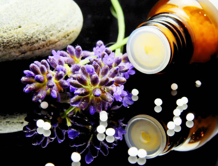 Extractos de hierbas y flores de lavanda sobre una mesa en un negocio de homeopatía.