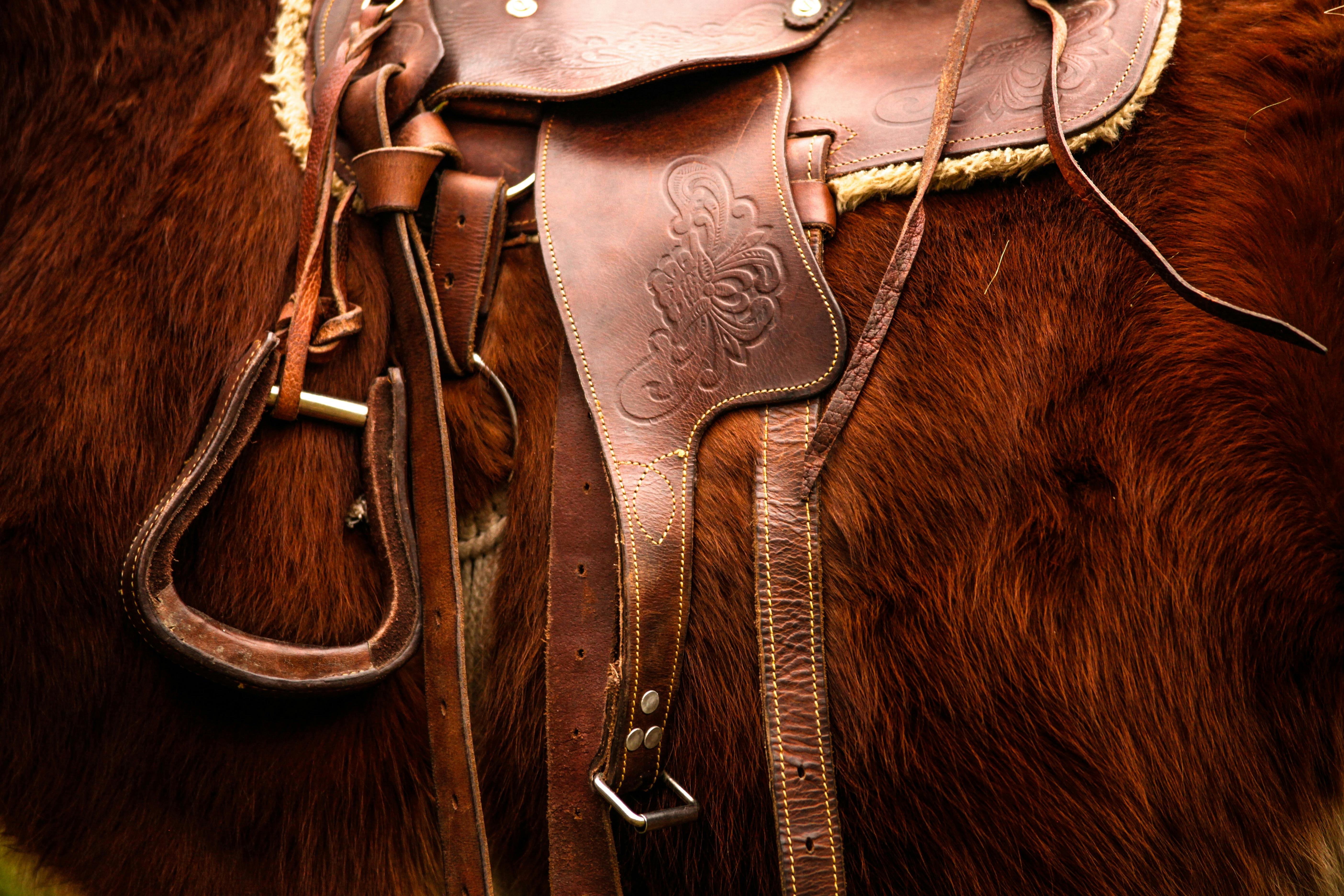 unique horse tack