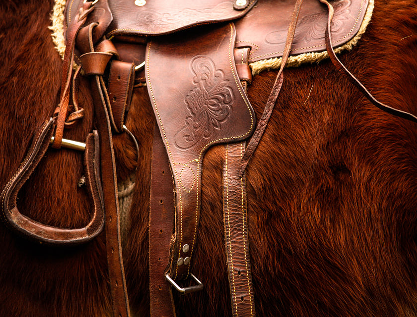 Un primo piano di una sella montata sopra un cavallo sauro.