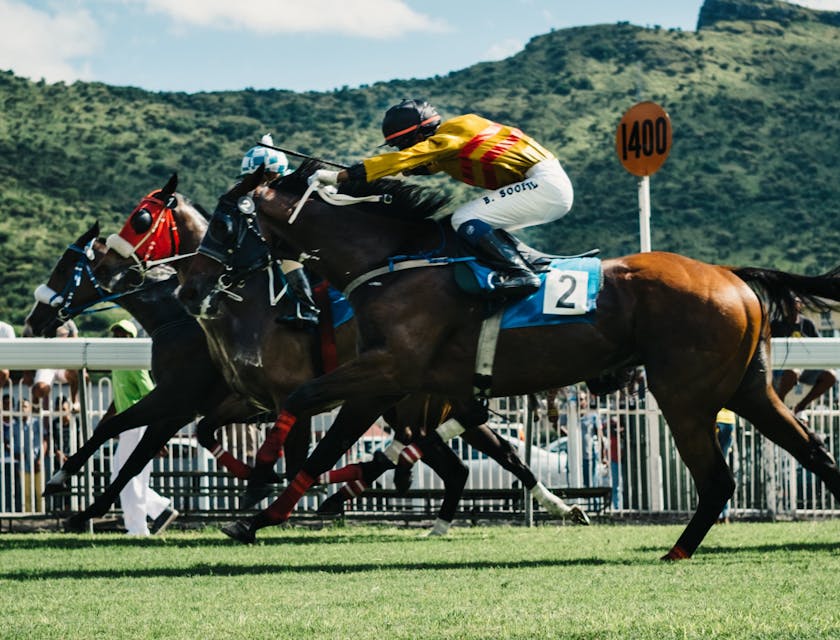 Horse Racing Club Names