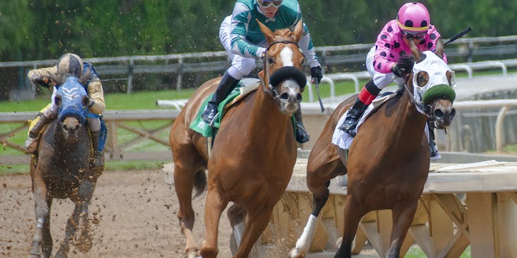 Horses racing for sport.