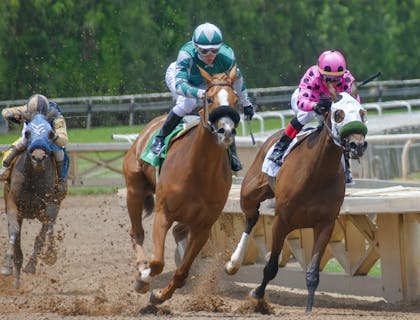 Chevaux de course montés par des jockeys dans un hippodrome d'un club de courses hippiques.