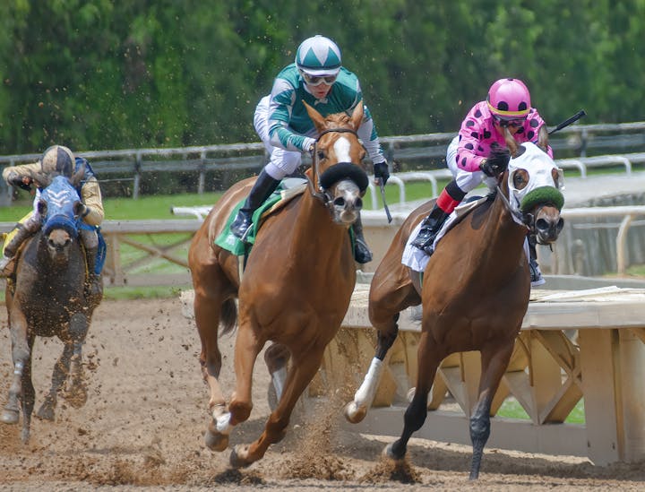 Nombres para clubes de carreras de caballos