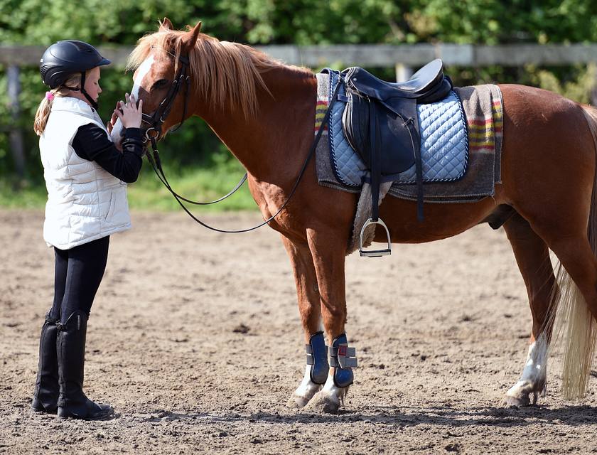 niña de pie delante de un caballo marrón en un negocio de paseos a caballo
