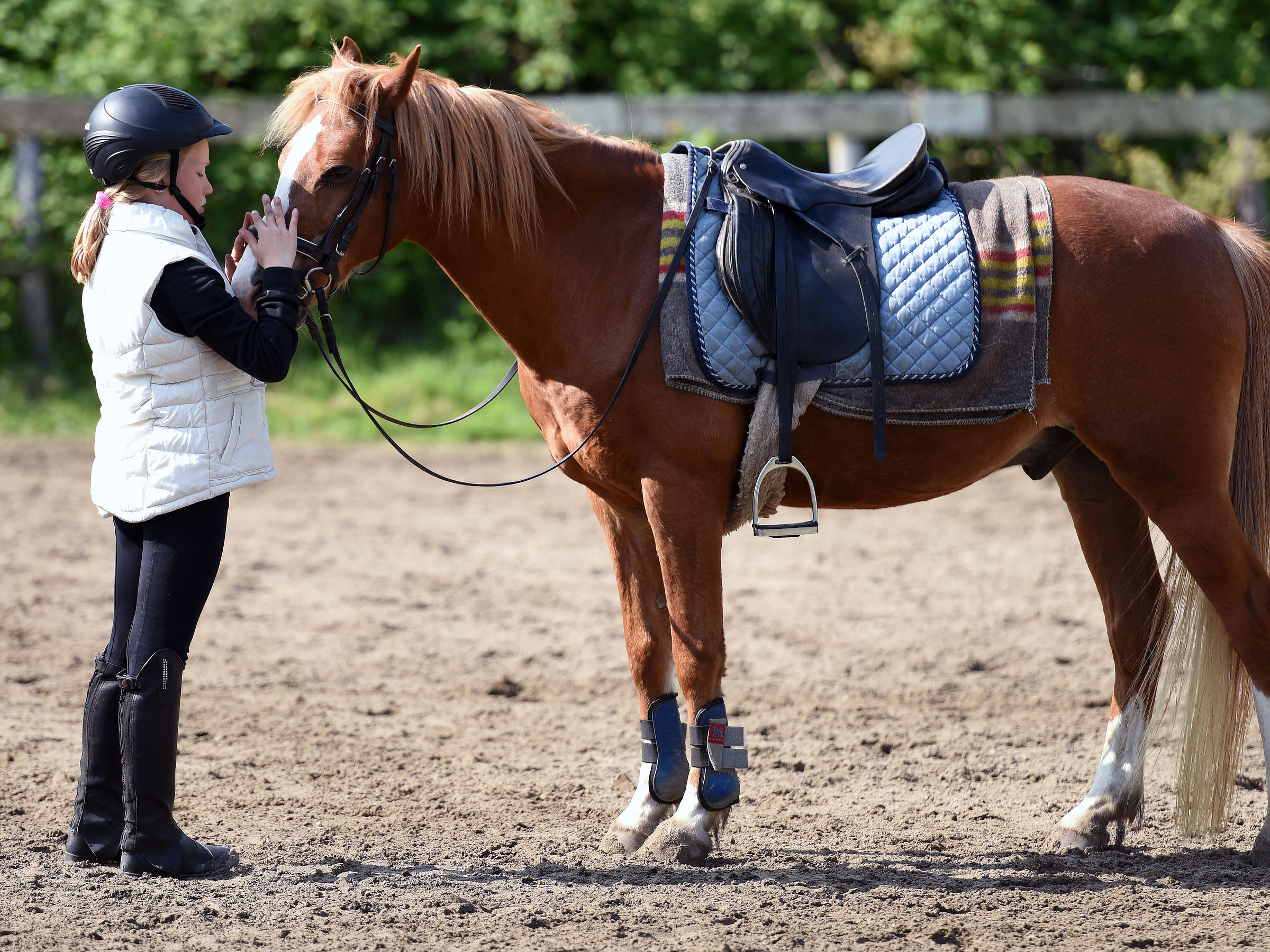 Horseback Riding Business Names