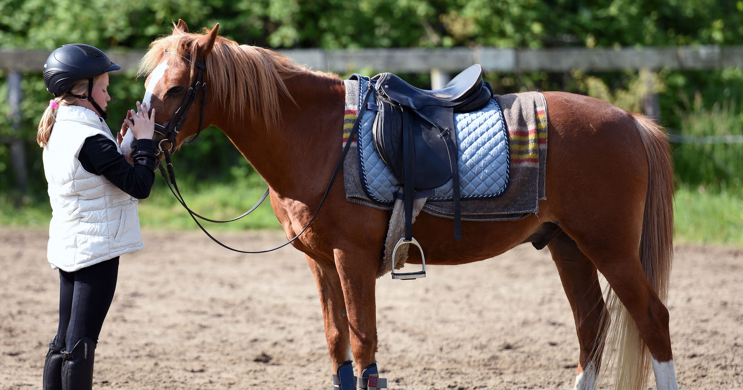 Horseback Riding Business Names