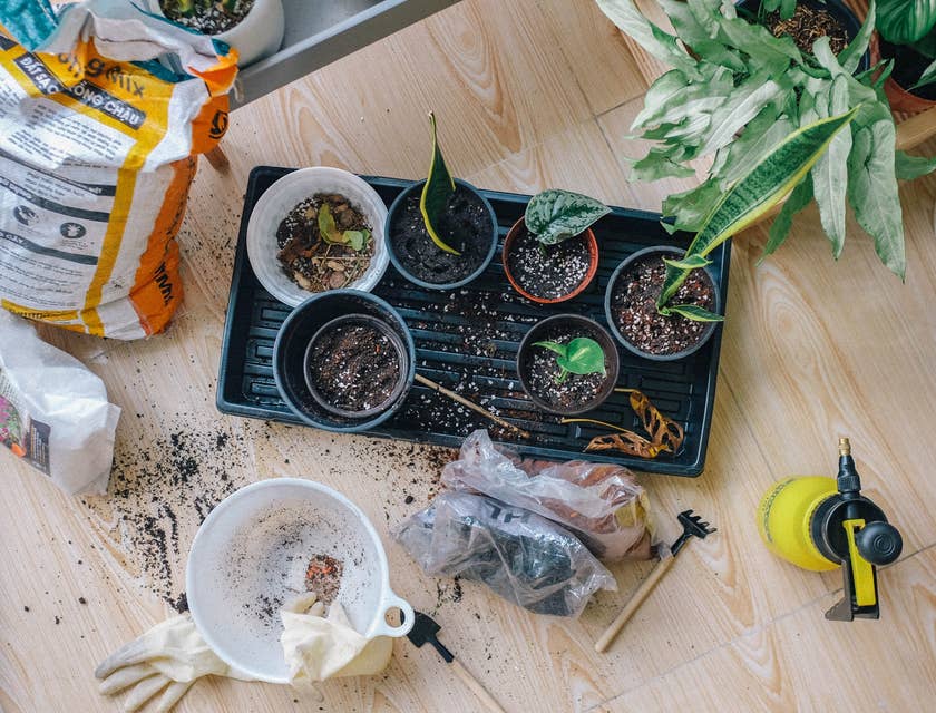 How to Start a Gardening Business