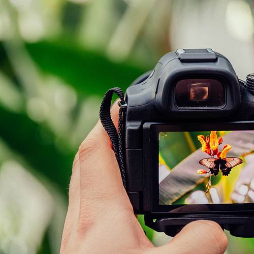 How to Start a Photography Business