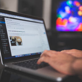 Include a News or Blog section.