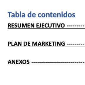 Incluye todos los elementos esenciales en tu plan de negocios.