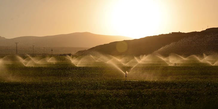An irrigation system spraying water over crops.
