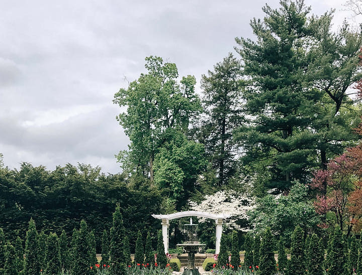 Nomi per Studi di Progettazione Paesaggistica