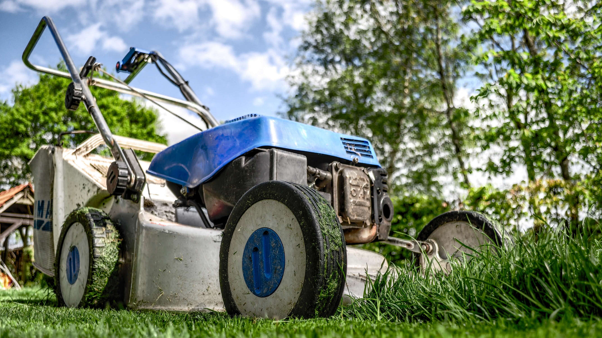 Lawn Care Business Names