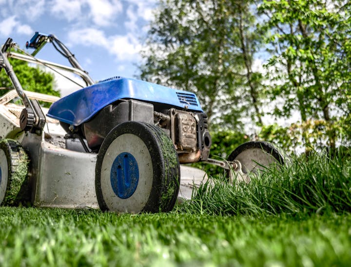 Nomes para serviços de tratamento de relva