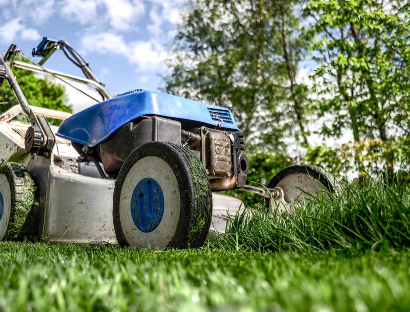 A lawn care business's lawnmower cutting grass.