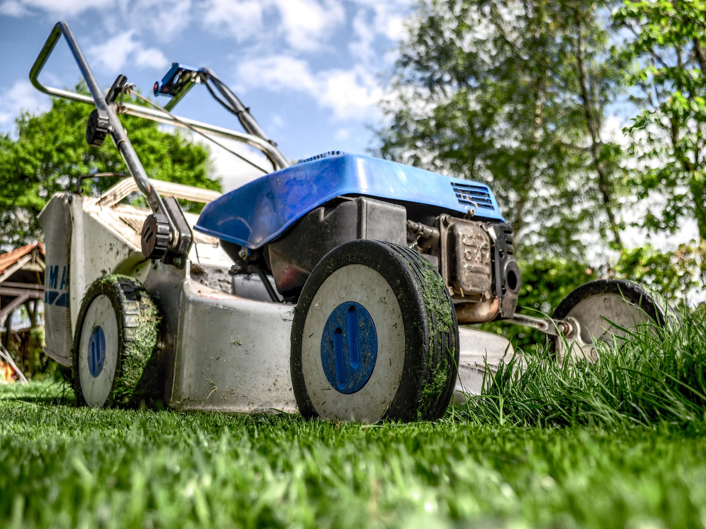 Lawn Care Business Names