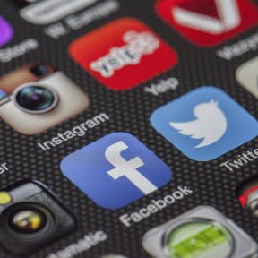 Search social media platforms.