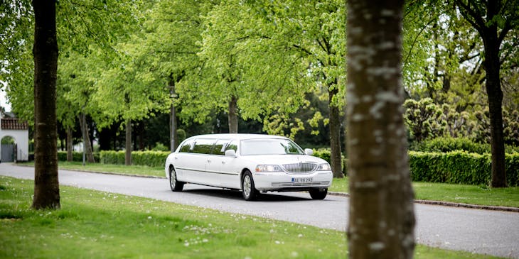 White limousine from a limousine business driving down a road surrounded by trees.