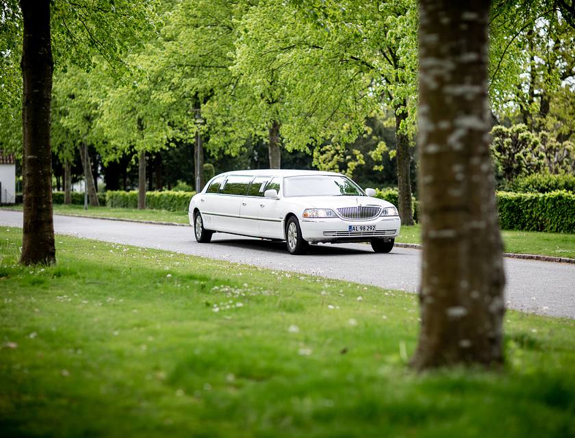 Limousine Business Names