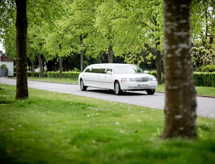 Limusina blanca de una empresa de limusinas conduciendo por una carretera rodeada de árboles