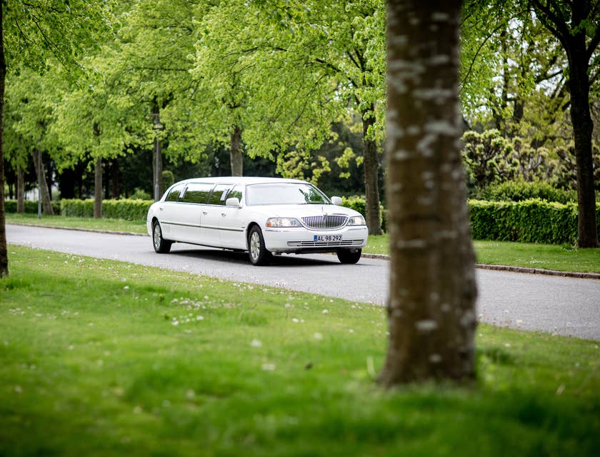 White limousine from a limousine business driving down a road surrounded by trees.