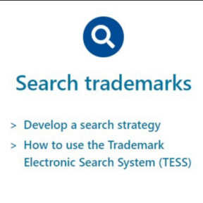 Trademark electronic search system best sale