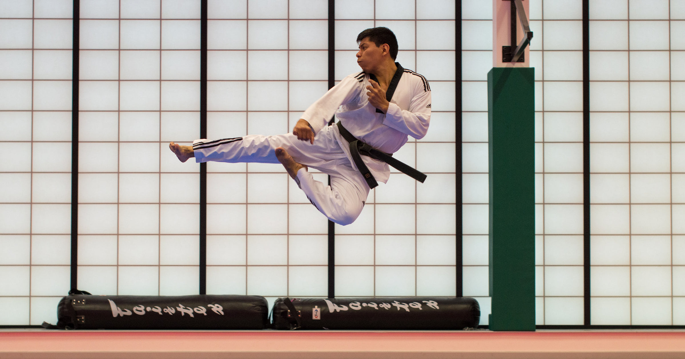 Martial Arts Business Names