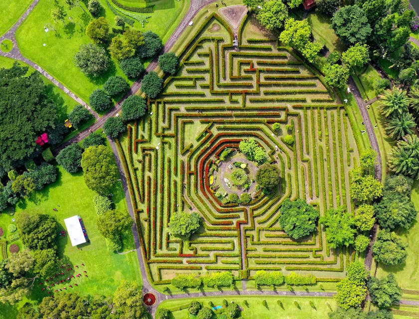 aerial shot of a maze business