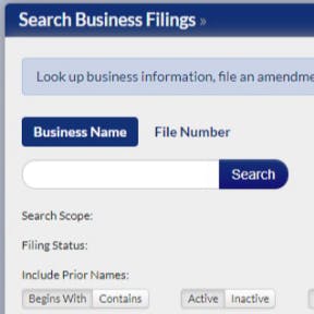 Dirígete al sitio web de la Secretaría de Estado de Minnesota.