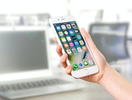 person holding a mobile phone