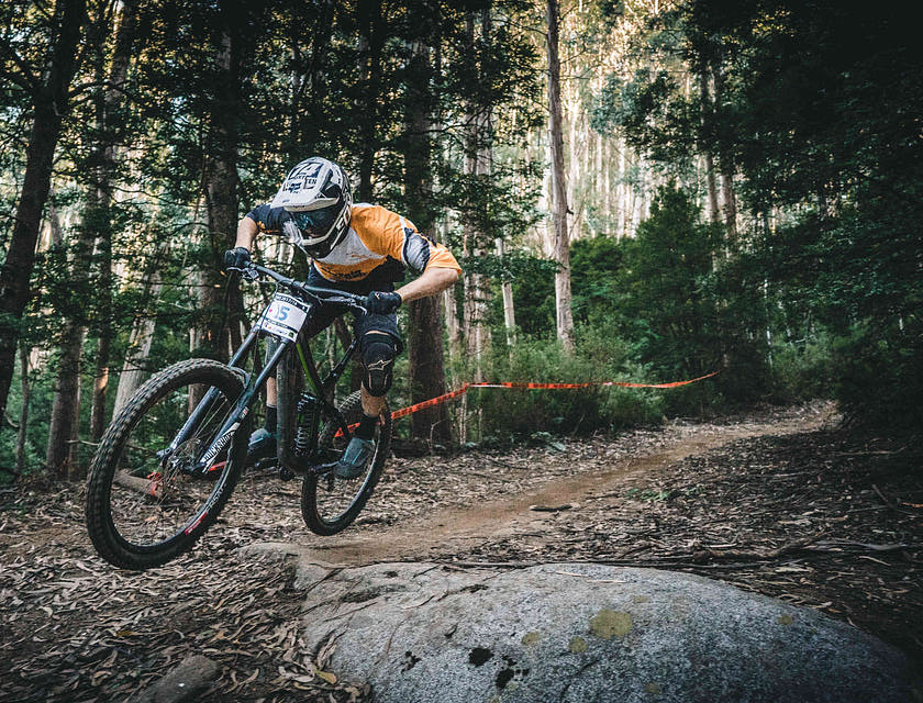 Ein Mountainbiker auf einem abgesteckten Pfad in einem Wald..